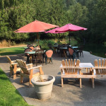 Seating by the pond